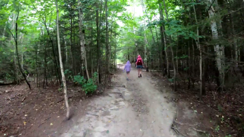 Two people walking on a dirt path through a lush green forest, accompanied by a small dog.