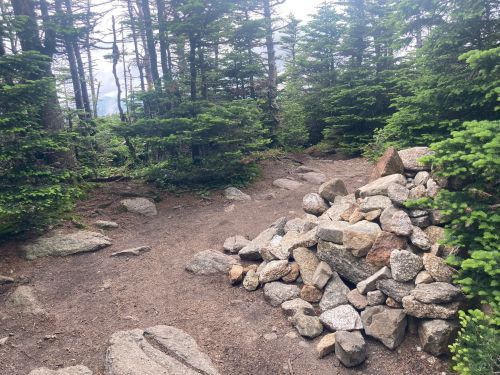 A rocky path diverges in a forest, with a pile of stones on one side and dense trees surrounding the area.