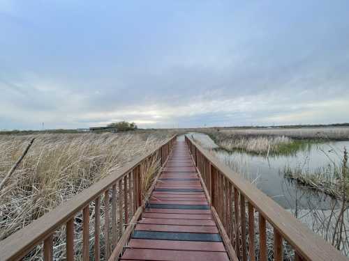 A wooden boardwalk stretches through tall grass and marshland under a cloudy sky.