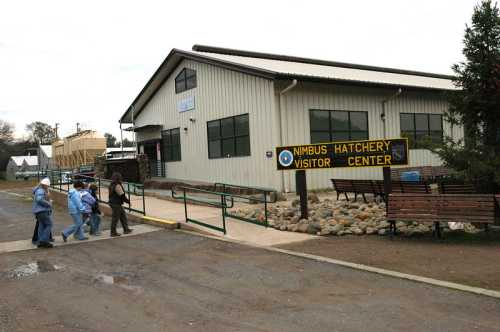 Visitors walk towards the Nimbus Hatchery Visitor Center, a large building with a sign, surrounded by a gravel path.