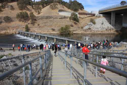 A crowd gathers near a river with a dam, surrounded by hills and a bridge in the background. Steps lead down to the water.