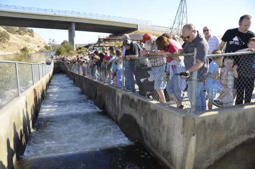 A crowd of people watches a flowing waterway from a fenced walkway under a bridge on a sunny day.