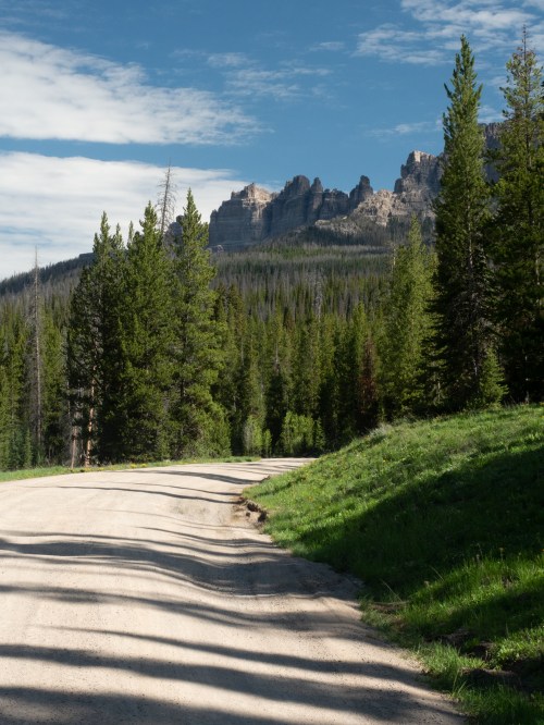 A winding dirt road surrounded by tall green trees, leading towards rocky mountains under a blue sky.