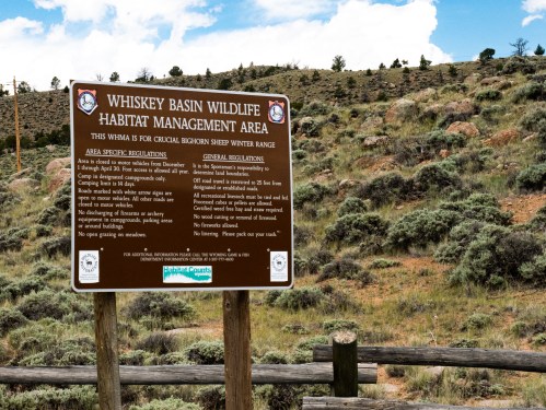 Sign for Whiskey Basin Wildlife Habitat Management Area, outlining regulations for bighorn sheep winter range.