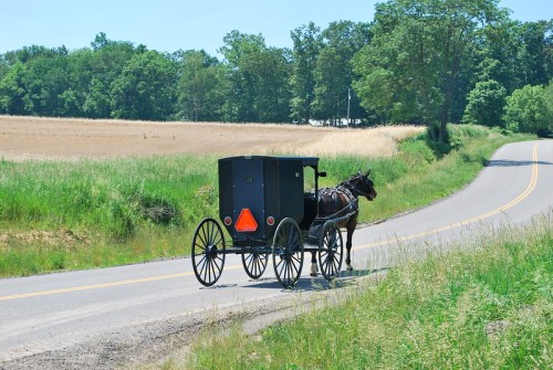 A horse-drawn buggy on a rural road, surrounded by green fields and trees under a clear blue sky.