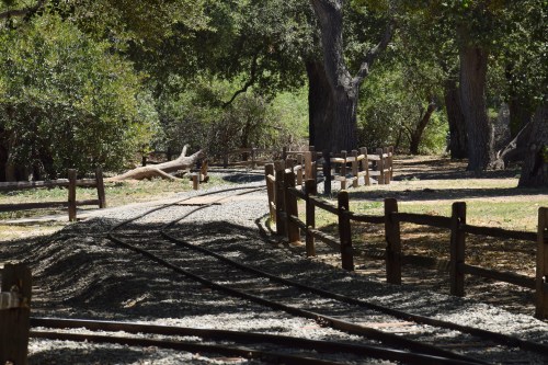 A winding gravel path with train tracks, surrounded by trees and a wooden fence in a sunny park setting.