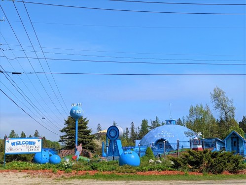 A whimsical blue building resembling a dome, surrounded by greenery and signs for a blueberry center.