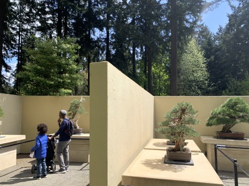 Two people and a child explore a bonsai garden surrounded by tall trees and a sunny sky.