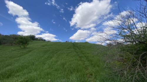 A grassy hill under a blue sky with fluffy clouds, featuring a few people in the distance.