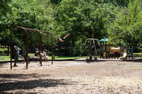 A sunny playground with children swinging and playing on slides, surrounded by trees and greenery.