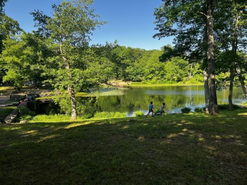 Two children walk along a grassy path by a serene pond surrounded by lush green trees on a sunny day.
