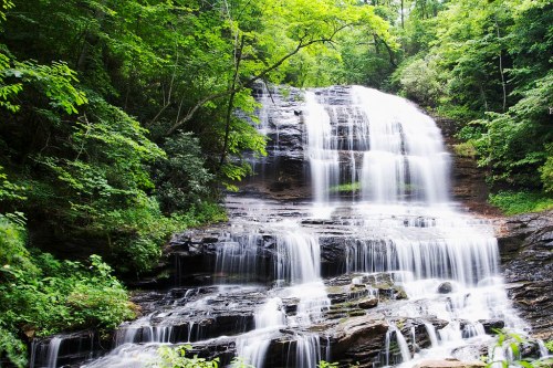 A serene waterfall cascading over rocks, surrounded by lush green trees and foliage.