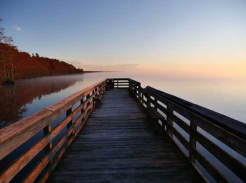 A wooden pier extends over calm water, surrounded by trees with autumn foliage under a clear sky at sunrise.