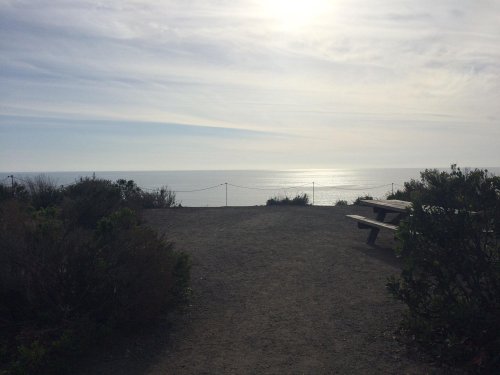 A serene coastal view with a picnic table, surrounded by greenery and a calm ocean under a cloudy sky.