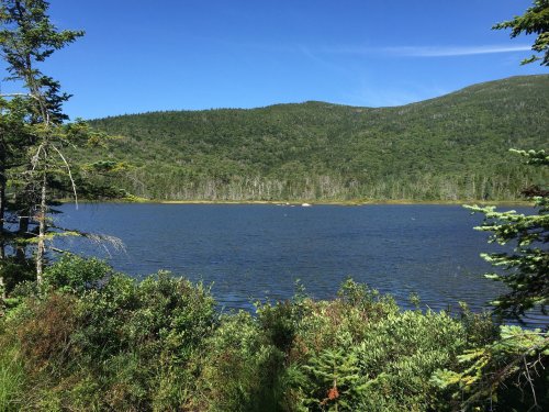 A serene lake surrounded by lush green trees and mountains under a clear blue sky.