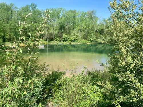 A serene pond surrounded by lush greenery and trees under a clear blue sky.