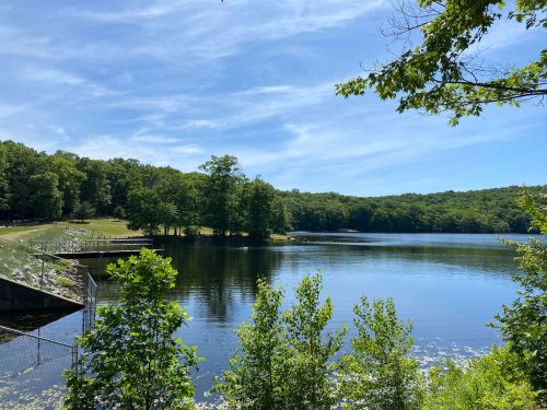 A serene lake surrounded by lush greenery and trees under a clear blue sky.