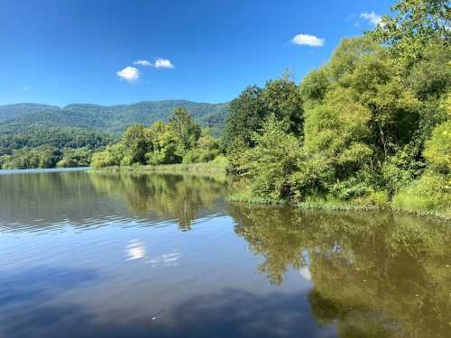 A serene lake surrounded by lush greenery and mountains under a clear blue sky with fluffy clouds.