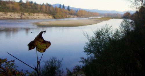A serene river scene with autumn foliage, surrounded by trees and distant mountains under a clear sky.