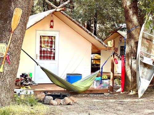 A cozy camping setup with a hammock, tents, and outdoor gear surrounded by trees.
