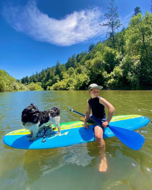 A child sits on a paddleboard in a calm river, with a dog standing beside them, surrounded by lush greenery and blue sky.