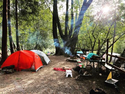 A campsite with a red tent, picnic tables, and a campfire, surrounded by trees and sunlight filtering through the leaves.