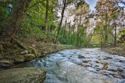 A serene creek flows through a lush green forest, with rocks lining the water and trees in the background.