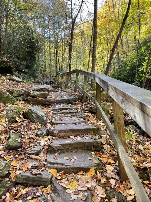 A winding stone path through a forest, lined with wooden railings and surrounded by autumn leaves and trees.
