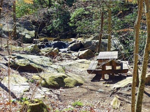 A wooden picnic table near a rocky stream, surrounded by trees and autumn foliage.