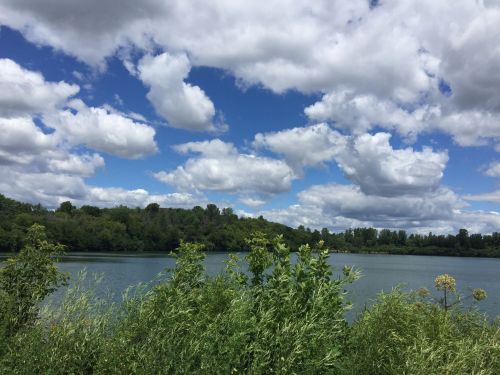 A serene lake surrounded by lush greenery and dotted with fluffy clouds in a blue sky.