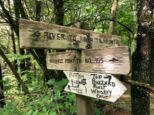 Wooden trail signs in a forest, indicating directions to River to River Trail and Buzzards Point Trail.