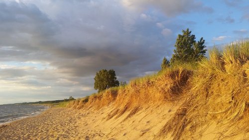 A sandy beach with grassy dunes under a cloudy sky, reflecting warm sunlight.