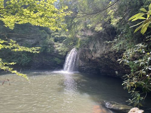 A serene waterfall cascades into a calm pool, surrounded by lush greenery and rocky cliffs.