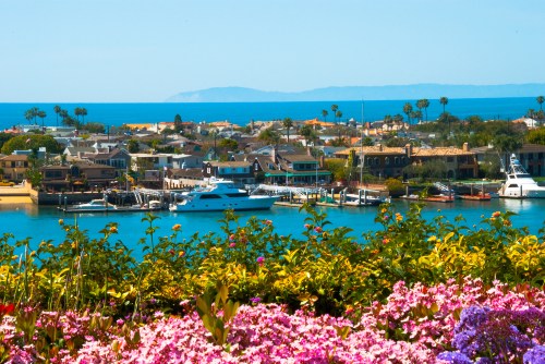 A vibrant coastal scene featuring colorful flowers in the foreground, boats in a marina, and a distant island on the horizon.
