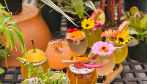 A colorful array of cocktails garnished with flowers and fruits, surrounded by lush green plants.