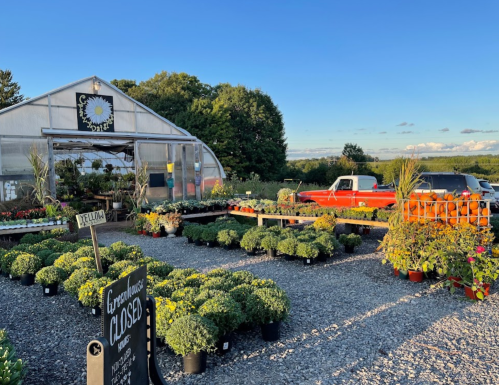 A garden center with potted plants and flowers, a closed sign, and a greenhouse under a clear blue sky.
