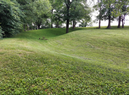 A grassy landscape with gentle slopes and trees in the background, creating a serene outdoor scene.