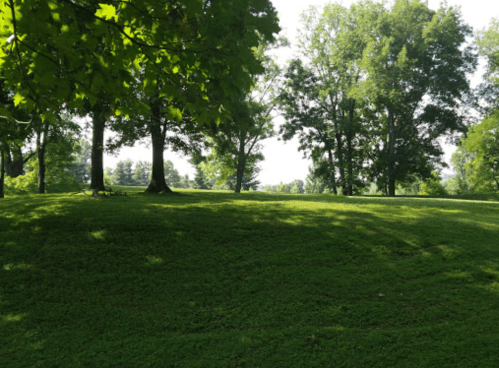 A lush green hillside with trees casting shadows under a bright sky.