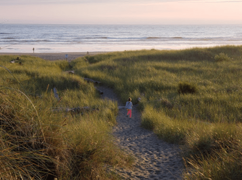 A child walks down a sandy path through tall grass towards a beach at sunset. Waves gently lap at the shore.