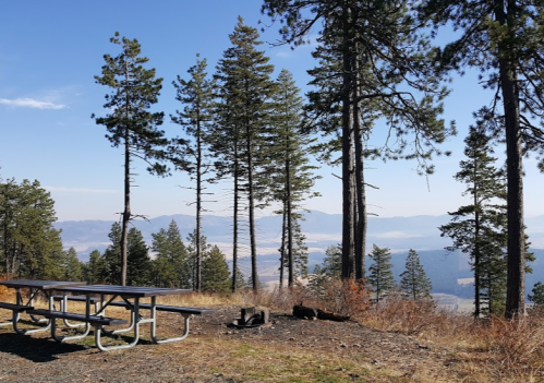 A picnic table surrounded by tall trees, overlooking a scenic valley and distant mountains under a clear blue sky.