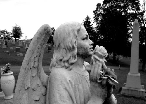 A weathered angel statue holding a rose, set against a cemetery backdrop in black and white.