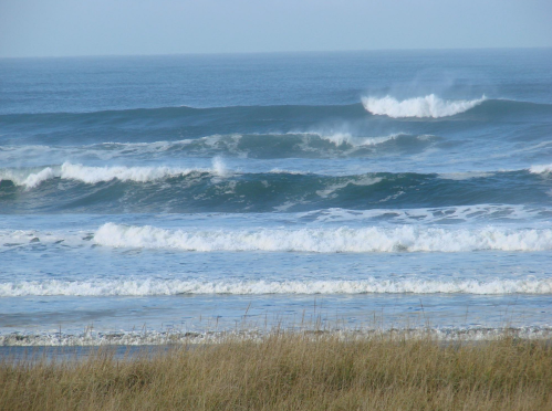 Waves rolling onto a sandy beach, with tall grass in the foreground and a clear blue sky above.