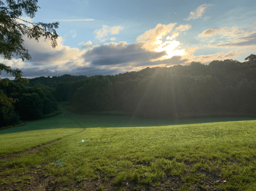 A serene landscape with a grassy field, trees in the background, and a sunset casting warm light across the scene.