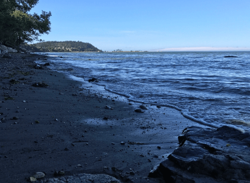 A serene beach scene with gentle waves lapping at the shore, surrounded by trees and distant hills under a clear blue sky.