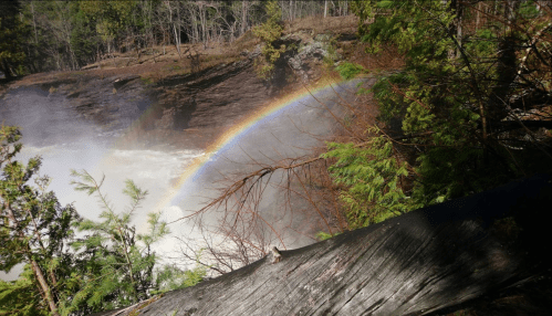 A vibrant rainbow arcs over a waterfall, surrounded by lush greenery and rocky terrain.
