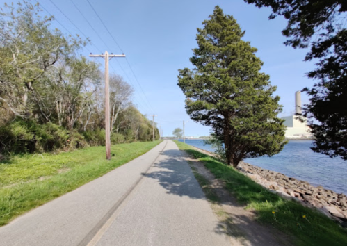 A scenic pathway alongside a river, lined with trees and power poles, under a clear blue sky.