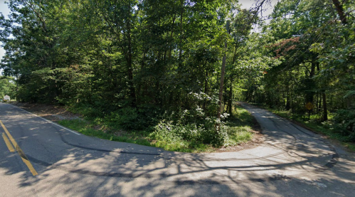 A winding road surrounded by dense greenery, with trees lining both sides and sunlight filtering through the leaves.