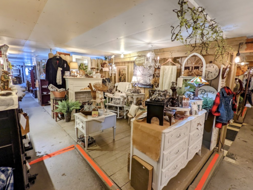 A cozy vintage shop interior filled with eclectic furniture, decor, and plants, creating a warm, inviting atmosphere.