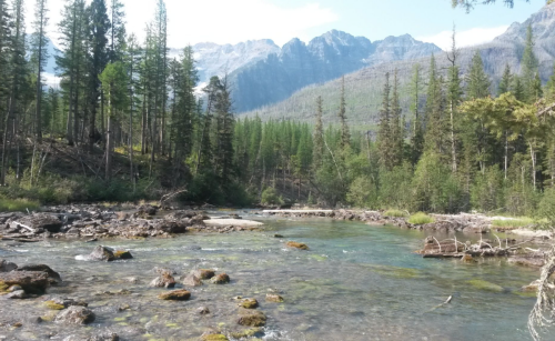 A serene river flows through a forested landscape, with mountains rising in the background under a clear blue sky.