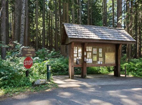A wooden information kiosk in a forest, with a stop sign and a notice about camping fees nearby.